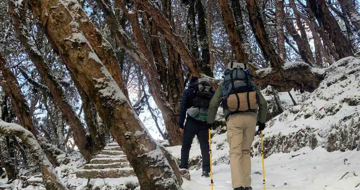 Mardi Himal Trek