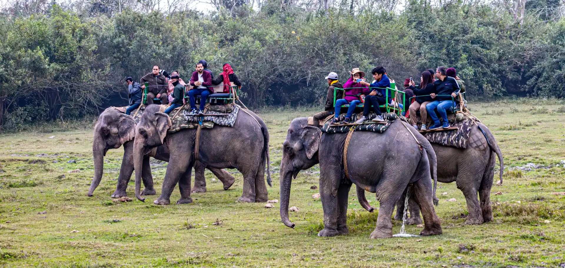 Chitwan Jungle Safari